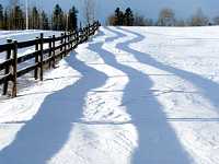 fence shadow on snow Dave Milne